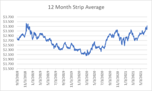 12 month strip for natural gas June 24 2021 report