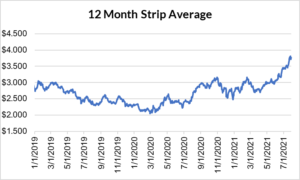 12 month strip for natural gas July 29 2021 report